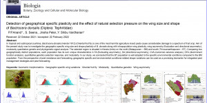 Detection of geographical specific plasticity and the effect of natural selection pressure on the wing size and shape of Bactrocer dorsalis